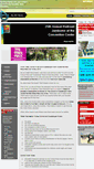 Mobile Screenshot of newbraunfelsinfo.com